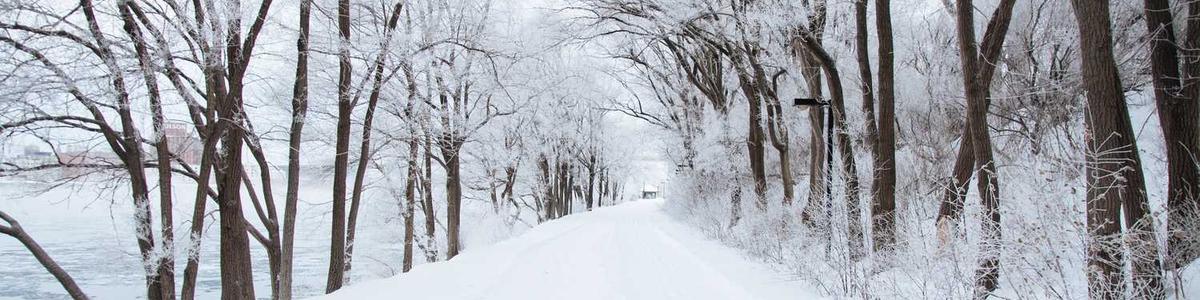 Special Characters in Tags