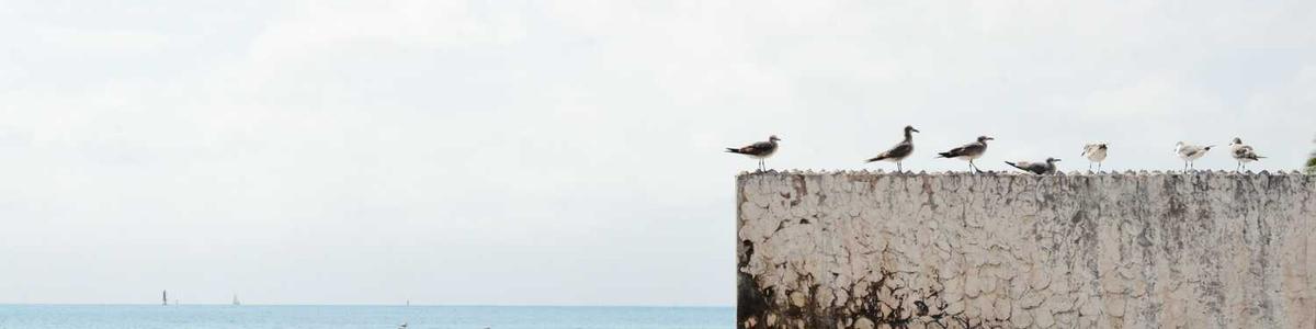 Using Markdown to customize layout